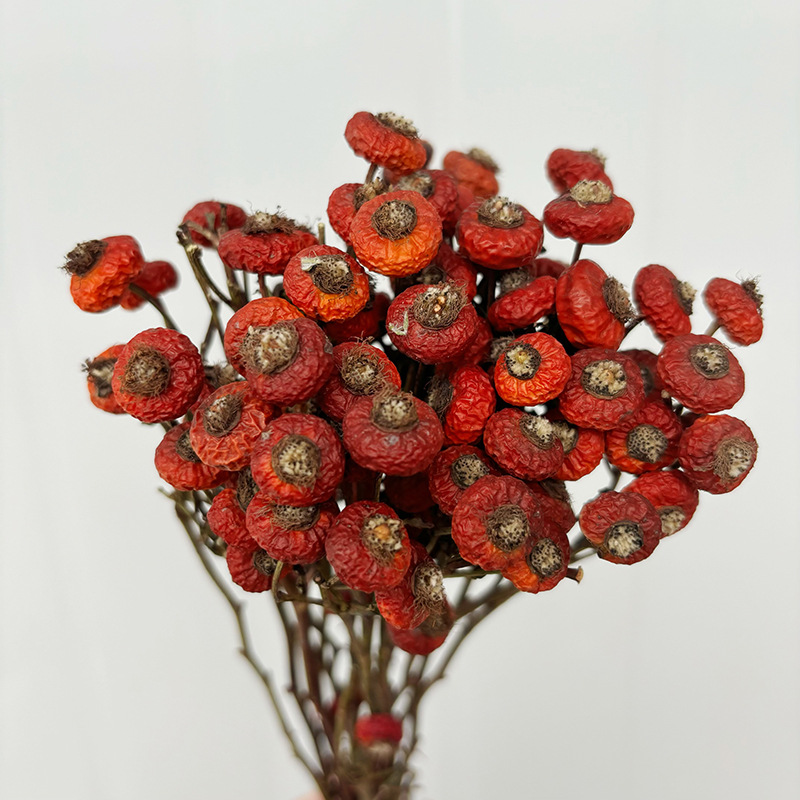 Dried Flower Bulk - 10個/束 ドライローズヒップベリーの花 天然ドライフラワー ホームリビングルームの装飾 お祝いの結婚式の装飾に