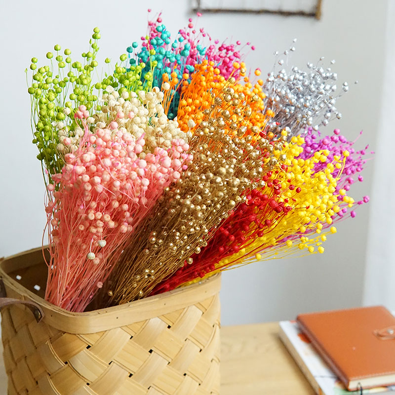 Dried Flower Bulk - 35g/保存されたオルモシア・ホシエ天然本物の花カラフルな乾燥リッチビーンズ花束用ホームデコレーションDIY素材