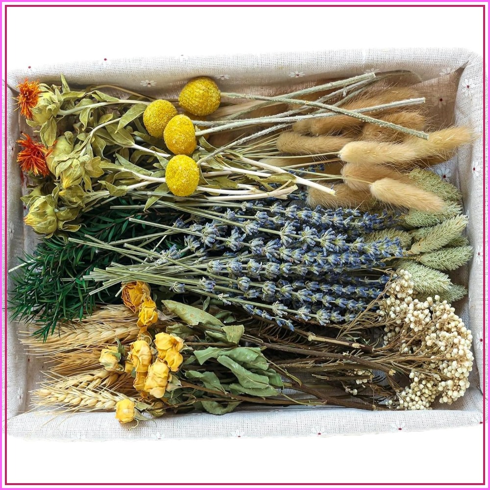 Dried Flower Bulk - DIY ナチュラルドライフラワーセット 花茎付き 花瓶飾り用、バラのまとめ買い、ミニブーケ