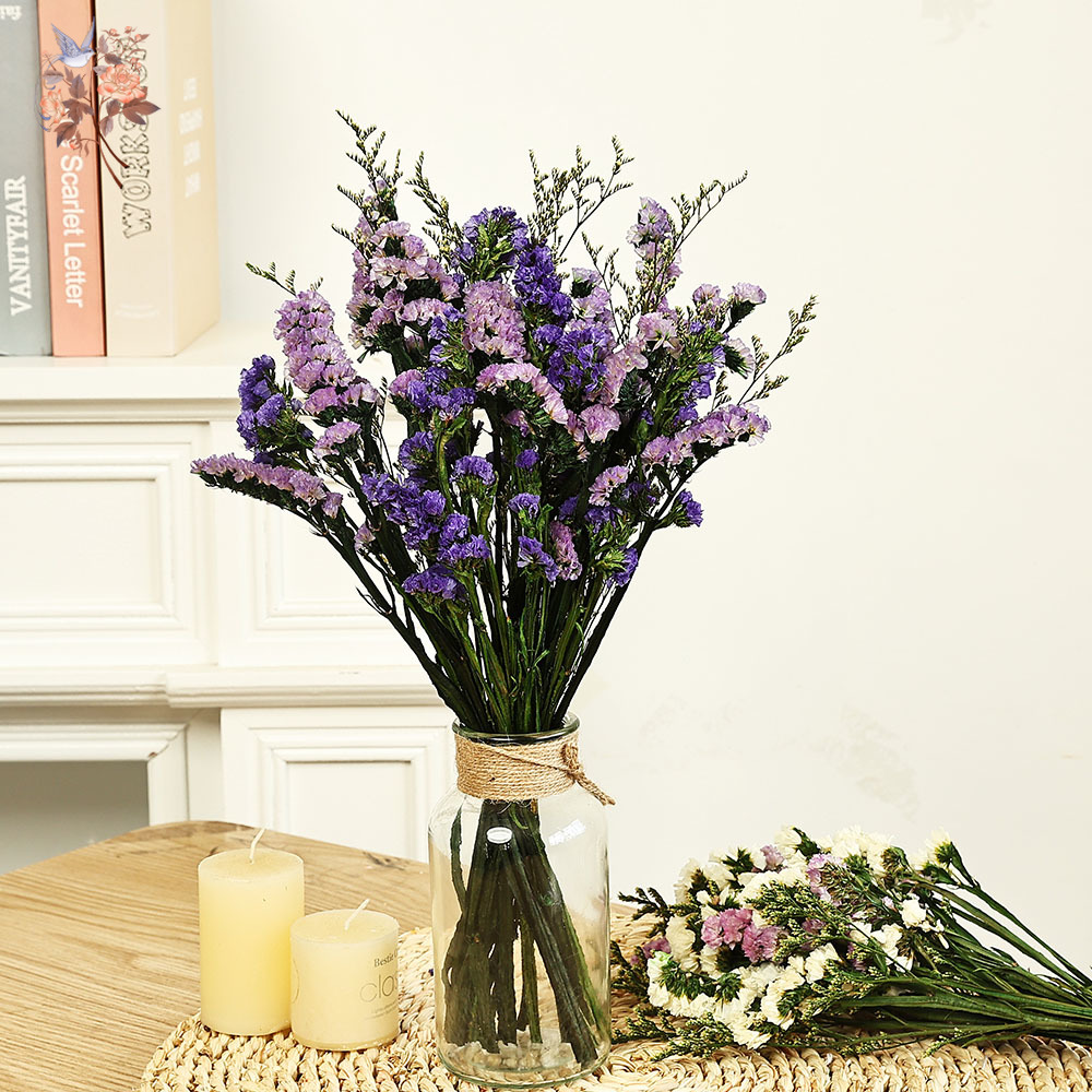 Dried Flower Bulk - 100 グラム天然本物の忘れな草の花の花束ミックスリモニウム草カップルガールフレンドロマンチックなギフト乾燥植物バンドル装飾