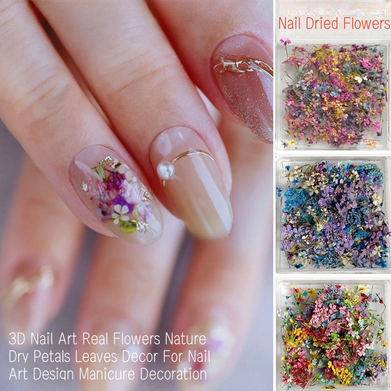 Dried Flower Bulk - 混合小さなドライフラワーネイルアートドライフラワー各種ネイルデコレーションビューティーサロンや家庭用