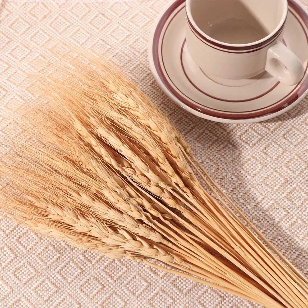 50個入り 人工花 ナチュラル ドライ小麦茎 DIYクラフト - Dried Flower Bulk のレビューと価格
