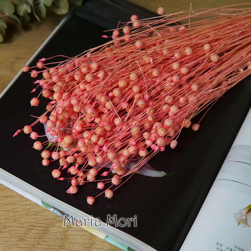 35g/保存されたオルモシア・ホシエ天然本物の花カラフルな乾 - Dried Flower Bulk のレビューと価格