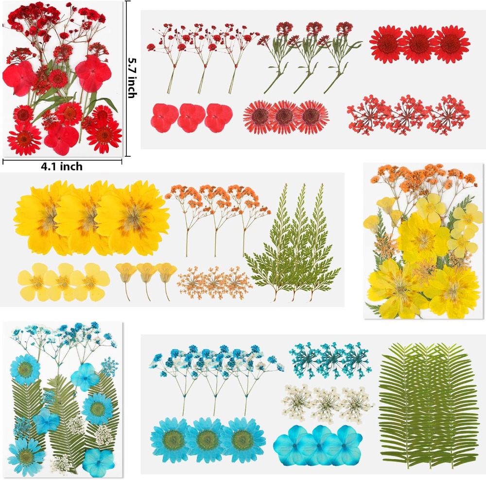 レジン用ドライフラワー、103個入り天然ドライフラワークラフ - Dried Flower Bulk のレビューと価格