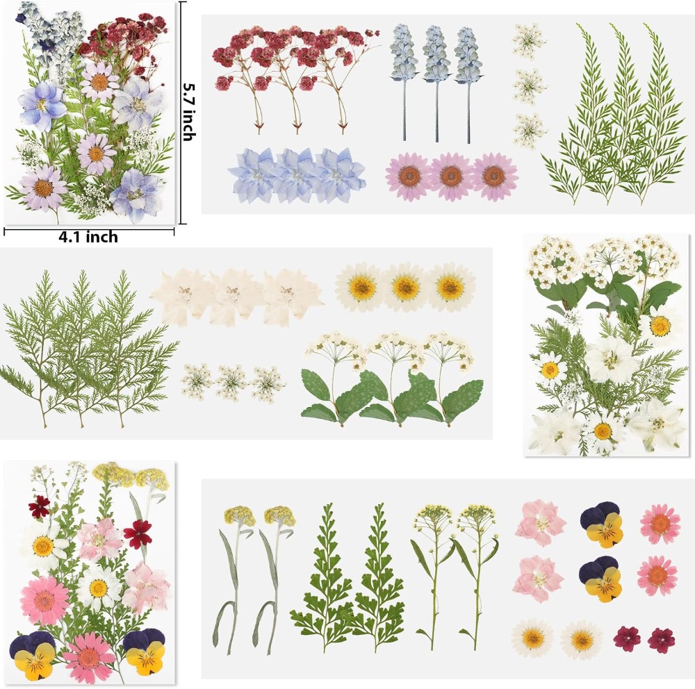 レジン用ドライフラワー、103個入り天然ドライフラワークラフ - Dried Flower Bulk のレビューと価格