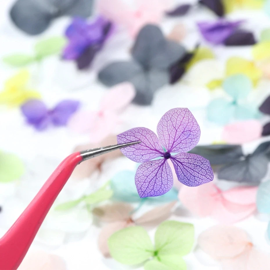 ネイルデコレーション用ドライフラワー,1箱 - Dried Flower Bulk のレビューと価格