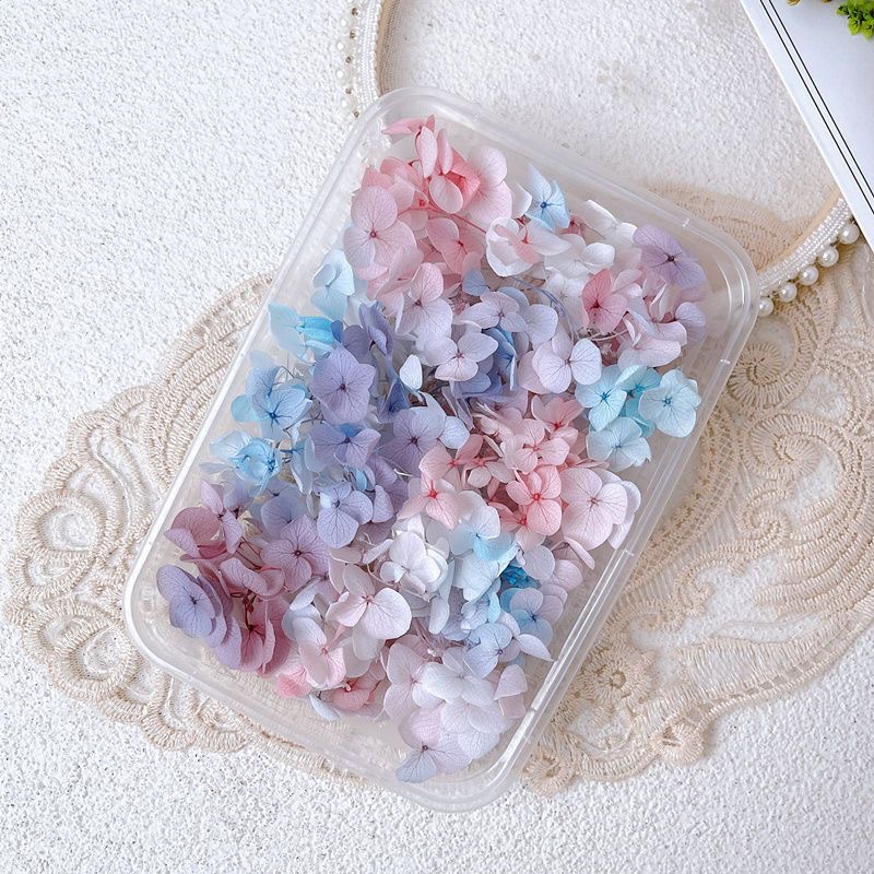 ネイルデコレーション用ドライフラワー,1箱 - Dried Flower Bulk のレビューと価格