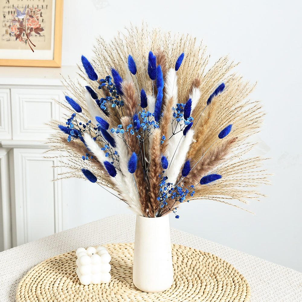 70 茎ブルーふわふわウサギの尻尾ススキの束ドライフラワーブ - Dried Flower Bulk のレビューと価格