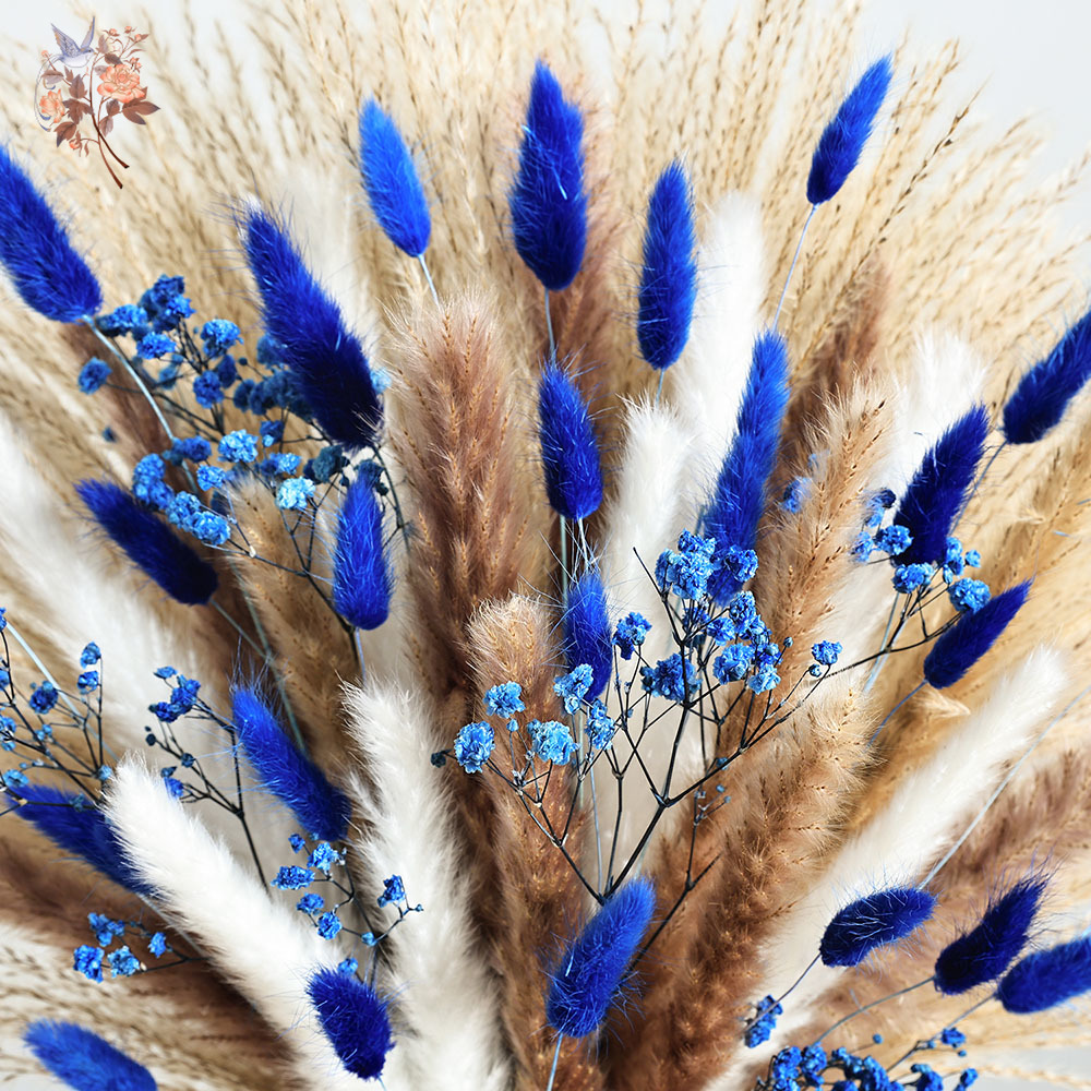 70 茎ブルーふわふわウサギの尻尾ススキの束ドライフラワーブ - Dried Flower Bulk のレビューと価格