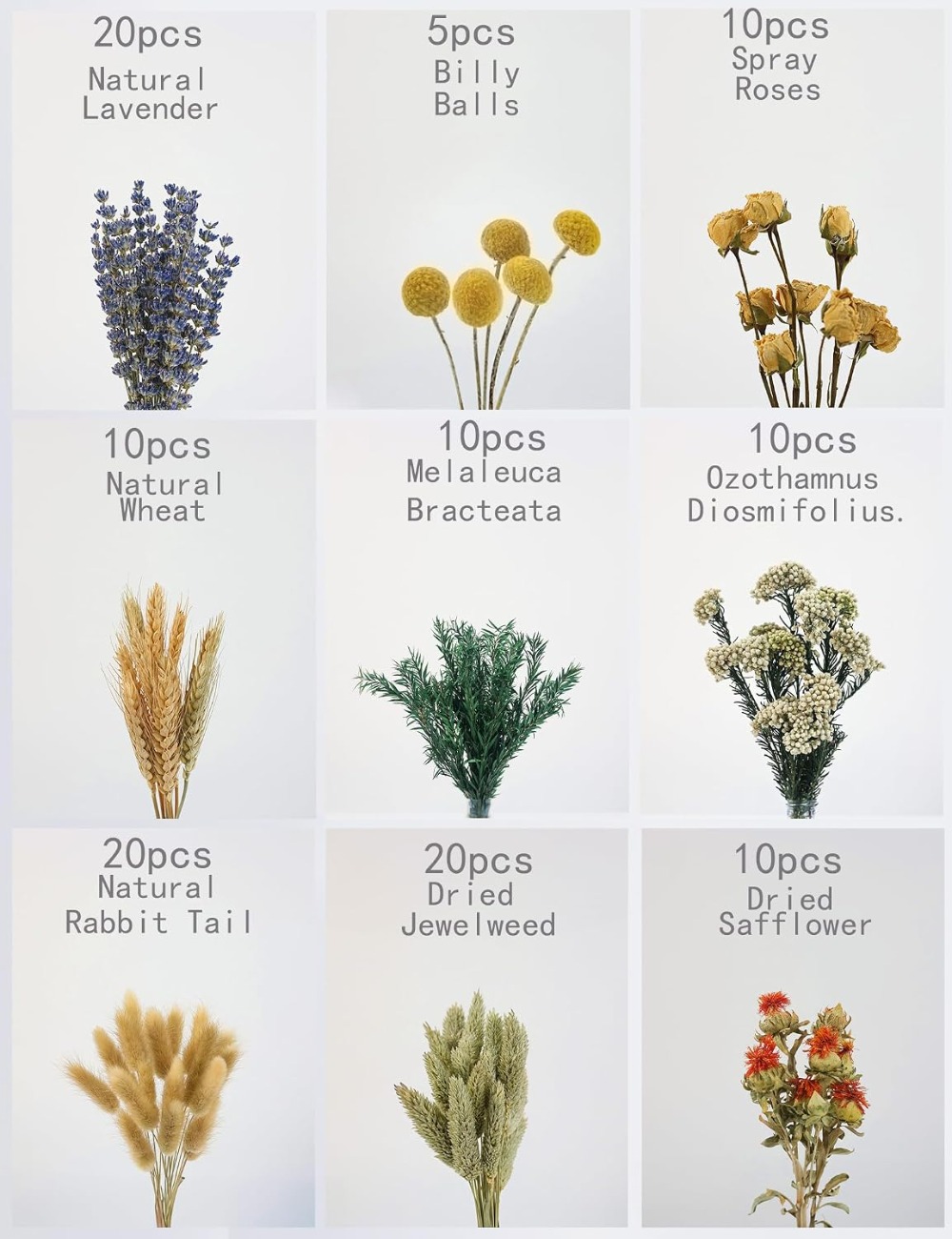 DIY ナチュラルドライフラワーセット 花茎付き 花瓶飾り用 - Dried Flower Bulk のレビューと価格