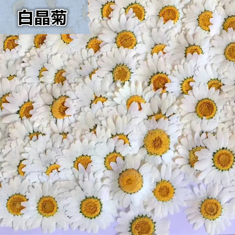 100個入り 天然白水晶菊 デイジー植物標本 本物のドライフ - Resin Craft Ideas のレビューと価格