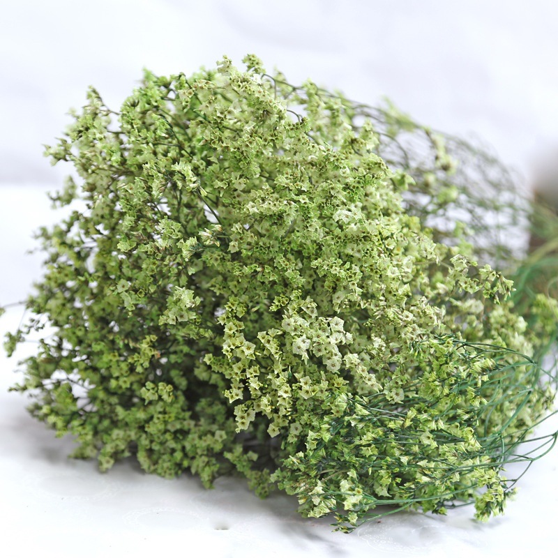 ナチュラルフレッシュドライプリザーブドフラワークリスタルグラ - Dried Flower Bulk のレビューと価格
