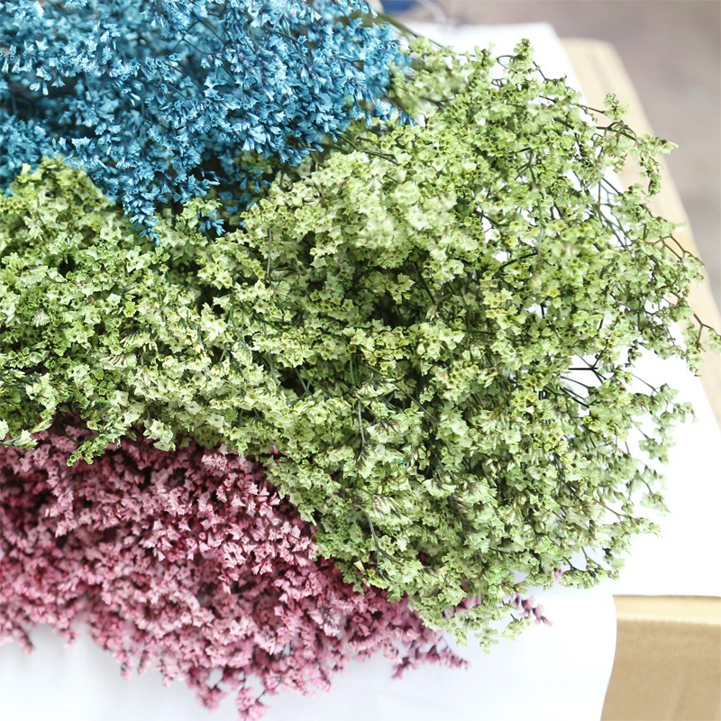 ナチュラルフレッシュドライプリザーブドフラワークリスタルグラ - Dried Flower Bulk のレビューと価格
