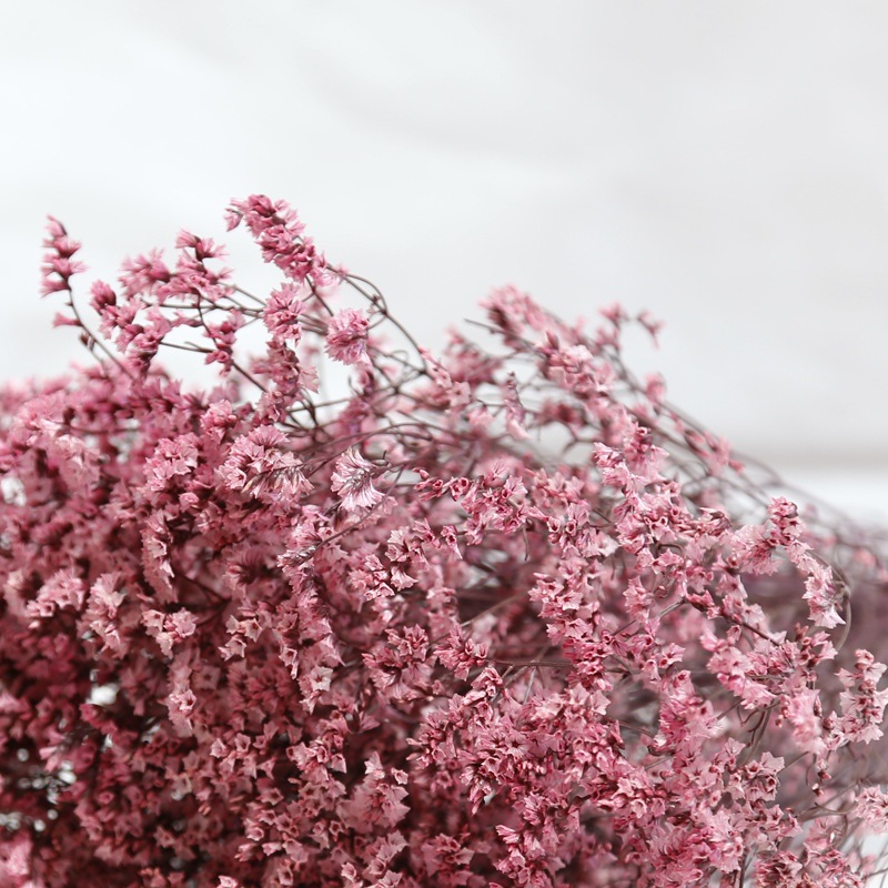ナチュラルフレッシュドライプリザーブドフラワークリスタルグラ - Dried Flower Bulk のレビューと価格