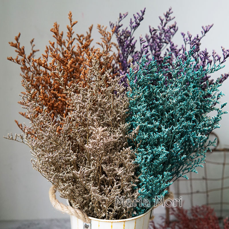 50g/プリザーブドバレンタイングラス リモニウムフラワー  - Dried Flower Bulk のレビューと価格