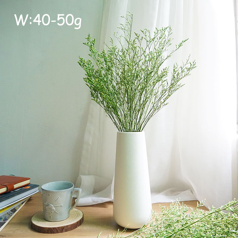 50g/プリザーブドバレンタイングラス リモニウムフラワー  - Dried Flower Bulk のレビューと価格