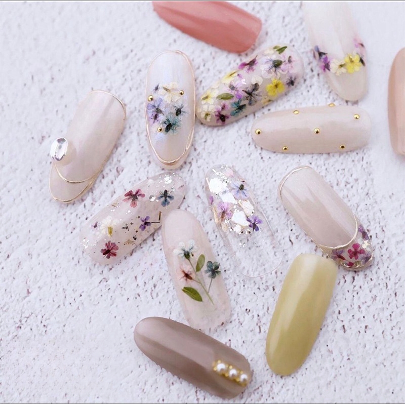 混合小さなドライフラワーネイルアートドライフラワー各種ネイル - Dried Flower Bulk のレビューと価格