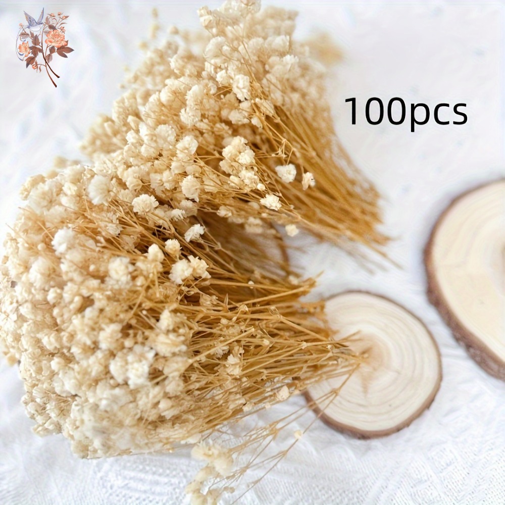 100個入りミニドライカスミソウ、レジン工芸DIY、家の装飾 - Dried Flower Bulk のレビューと価格